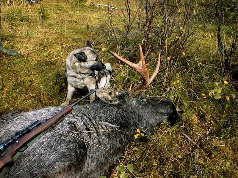 2004 Okse Vennadalen_4.jpg - 6-spiringen og Dixi